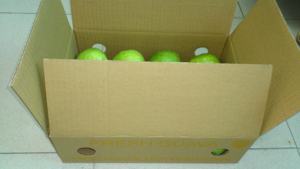 ฝรั่งสดคุณภาพระดับพรีเมี่ยมจากเวียดนามมีรสหวาน - Product Image 3