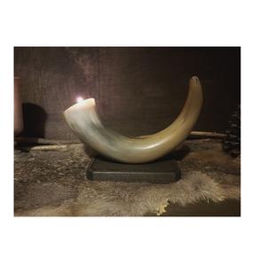 Bougeoir en corne Vente en gros Bougie en corne Bougeoir en corne réutilisable - Product Image 1