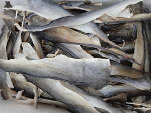 DE VIETNAM MEJOR CALIDAD-PIEL DE PESCADO BA SA SECA - Product Image 6