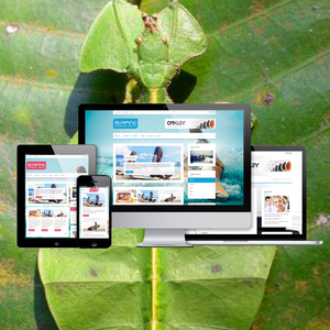 ค้นหาบริษัทเพิ่มประสิทธิภาพเครื่องยนต์ในอินเดีย | ค้นหาบริษัทเพิ่มประสิทธิภาพเครื่องยนต์ | บริการ SEO SMM ที่ดีที่สุดโดย Webroot Infosoft - Product Image 4