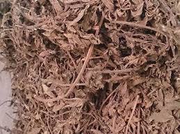 PRIX BON MARCHÉ DE L'HERBE NOIRE SÉCHÉE ET DES BÂTONS NOUVELLE CULTURE 2024 VIETNAM - Product Image 5