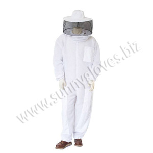<b>Bee</b> keeping Pakistan suppliers directly supply - Product Image 4