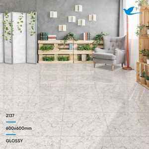 โรงงานออกแบบใหม่ล่าสุดที่กำหนดเองกระเบื้องปูพื้นเซรามิกสีงาช้างกระเบื้องปูพื้นและผนังตกแต่ง600X600 600X1200จากอินเดีย - Product Image 3