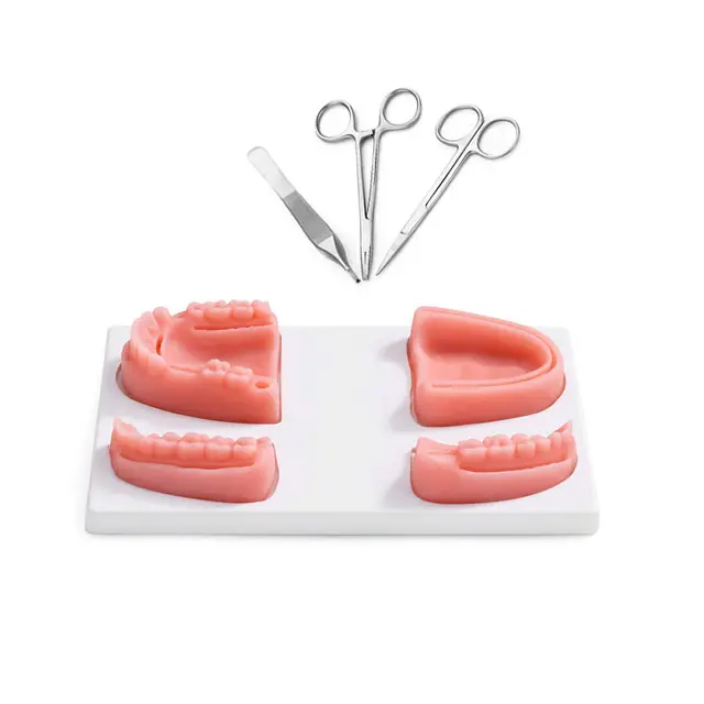 Professional Medical Surgical Lab High Quality Free Logo Dental Surgical. Practice Suture Training Pad Skin Trainer Kit.