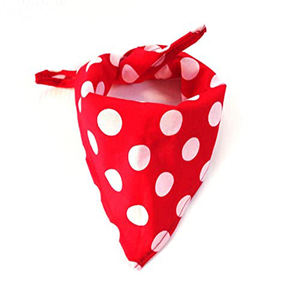 Tous les chiens étoiles personnalisés bandana pour animaux de compagnie - Product Image 1