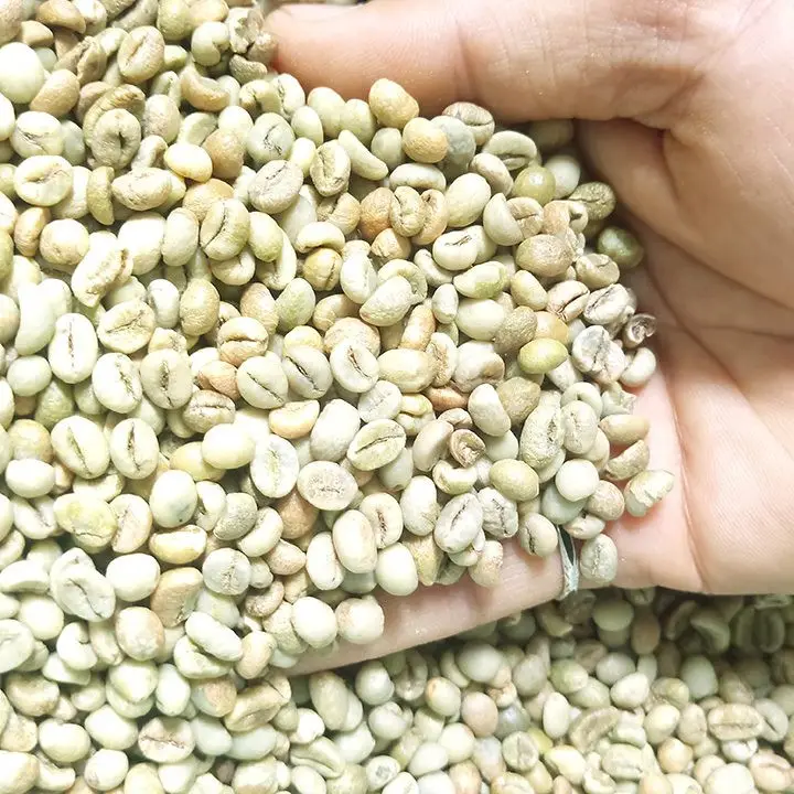 Grains de café vert du Vietnam en gros café vert Arabica pour la perte de poids Grain de café vietnamien vert Robusta & Arabica