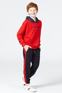 Lujo élite elegante al por mayor niños sudor trajes niños niñas sólido con capucha pulóver niños Turquía marca - Product Image 2