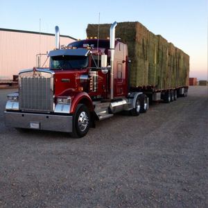 Eco-worthy — toupies de qualité supérieure avec cadran lumineux, piège, graines et luxes dans les bouches - Product Image 4