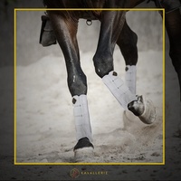 Bottes de protection pour l'équitation et le voyage pour cheval
