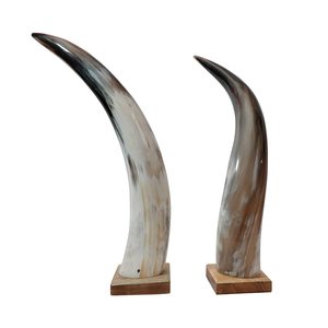 Cuerno decorativo de búhos, bocina natural real de diferente tamaño, último diseño, vajilla para el hogar, gran oferta - Product Image 6