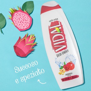 BATH FOAM VIDAL 500 ML <b>FRESH</b> ENERGY POMEGRANATE & <b>GINGER</b> - Product Image 3