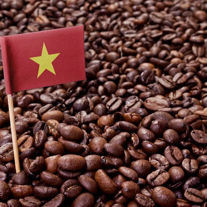 Vietnam Robusta Roasted Coffee Beans - Green Coffee Export