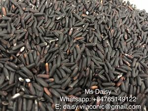 โฆษณาข้าวอบแห้งสีน้ำตาลดำแบบนิ่มยาวของเวียดนาม (+ 84398885178) - Product Image 5