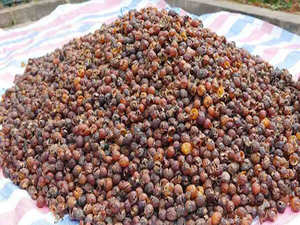 Noix de savon en gros / Noix de savon biologique - Product Image 6