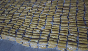 Maïs sucré congelé de qualité supérieure du Vietnam (meilleur prix) - Product Image 3