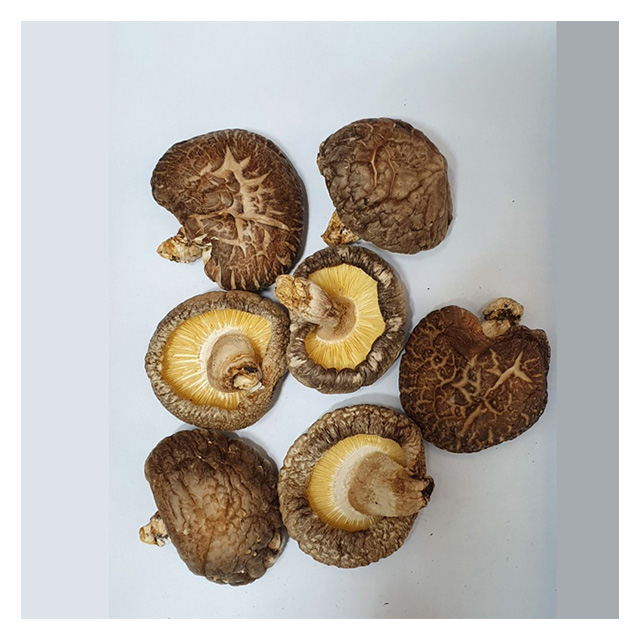 Wholesale Mushroom Dried Extract Black Flower Dongko