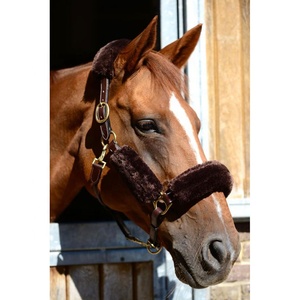 Excellent Quality - Argentinian Cow Leather - Traditional Hand Stitched - Polo Leather Horse <b>Halter</b> - Product Image 2