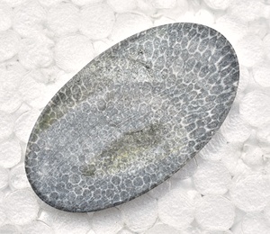 Stingray Coral Cabochon High Quality Black Coral Cabochon Loose Gemstones Stingray Beads Cabochon - Product Image 6