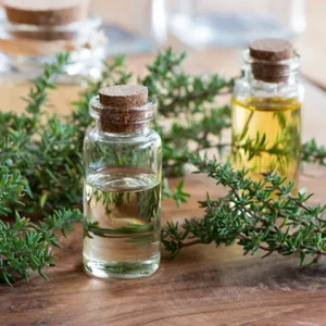 Plant Extract Essential Oil Thyme Oil