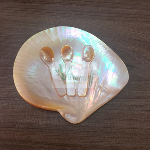 Service de table en forme de nacre du Vietnam, plat à Caviar, cuillère et assiette en nacre pour rendre la table à manger luxueuse - Product Image 6