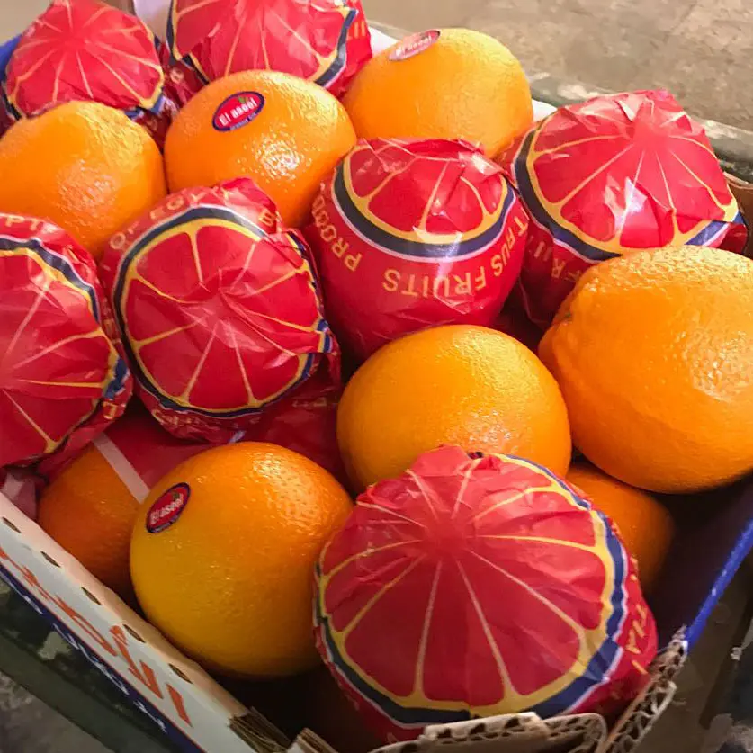 Orange gingembre 100% naturelle, fruits frais, vente en gros