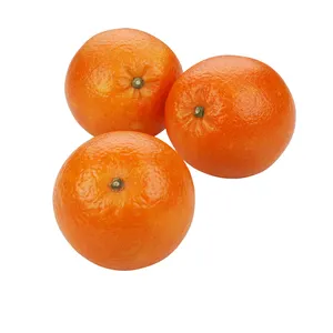 Oval Shape Seedless Fresh Orange, Naval Orange, Valencia Oranges Very sweet and Juicy ready for Export