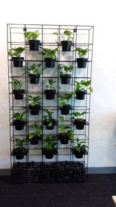 Galvanized Metal Customizable Flower Pots-Durable & Eco-Friendly for Wall <b>Hanging</b> Indoor/Outdoor Use - Product Image 5