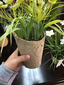 Vente <span class=keywords><strong>en</strong></span> gros plateau de papier de pulpe personnalisé ECO plateaux de <span class=keywords><strong>semis</strong></span> produits verts <span class=keywords><strong>pot</strong></span> de fleur <span class=keywords><strong>en</strong></span> papier - Product Image 6