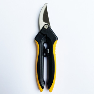 Stainless Steel Straight Blade Garden <b>Scissors</b> Pruning <b>Shears</b> for Pruning and Garden Care - Product Image 3