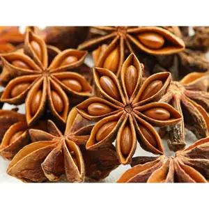 Cooking Spice Dried Star Anise At Cheap Price/ Ms. May (+84 904 183 651)