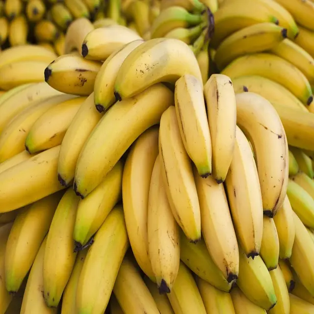 Bananes du zodiaque, produit nutritif, réparation banane et pommes