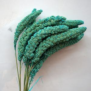 Vera e propria naturale conservata, fiori decorativi, corone e piante fiori secchi, piante all'ingrosso - Product Image 4