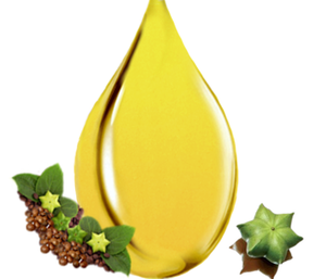 น้ำมันซาชาอินชิ100% น้ำมันซาชิ/คุณนายพฤษภาคม: + 84 904 183 651 - Product Image 4