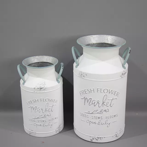 Ensemble de deux conteneurs plastiques de jardin, conteneur métallique galvanisé, creux - Product Image 2