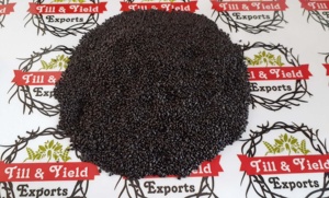 Hoang Dã thánh Húng Quế hạt van Tulsi Ocimum Basilicum chiết xuất thảo dược để khắc phục mức độ cholesterol trống bao bì - Product Image 3