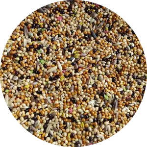 Finches Seed Mix Bird Food Supreme Quality