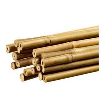 ECO2GO VIETNAM - Piquets en bambou naturel de 3 pieds pour tomates, haricots, fleurs, plantes en pot et grimpantes - 25 pièces