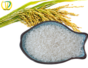 hot sale high quality hybrid rice seed