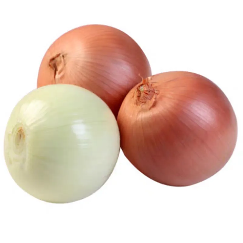 Fresh Red Onion Turkey 50mm size fresh red Netherlands onions