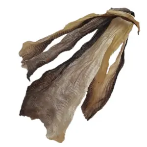 فيتنامي-قشرة سمك مجففة من الباسا, عالية الجودة ، رخيصة السعر ، جلد السمك المجفف ، بانجاسيوس (روزي + 84 901396659) ، 99 معرّف ذهبي