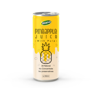 Fabricante de Marca Privada, Puré de Fresa Natural de 250 ml, Bebida Saludable en Lata Lista para Beber, Productor por Contrato - Product Image 6