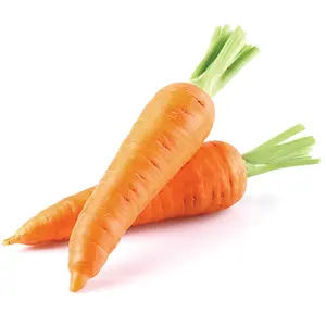 Good Quality Carrot With Good Price Fresh Carrot Ready For Sale Origin Vietnam