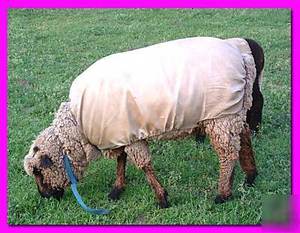 Capot en toile de mouton et de chèvre, couvre-chef, tailles disponibles S, M, L, XL, XXL, livraison gratuite - Product Image 3