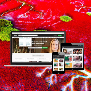 Webroot-empresa de desarrollo de sitio web de una empresa de gestión de trabajo, red de RED para la India para la captación de premios - Product Image 4