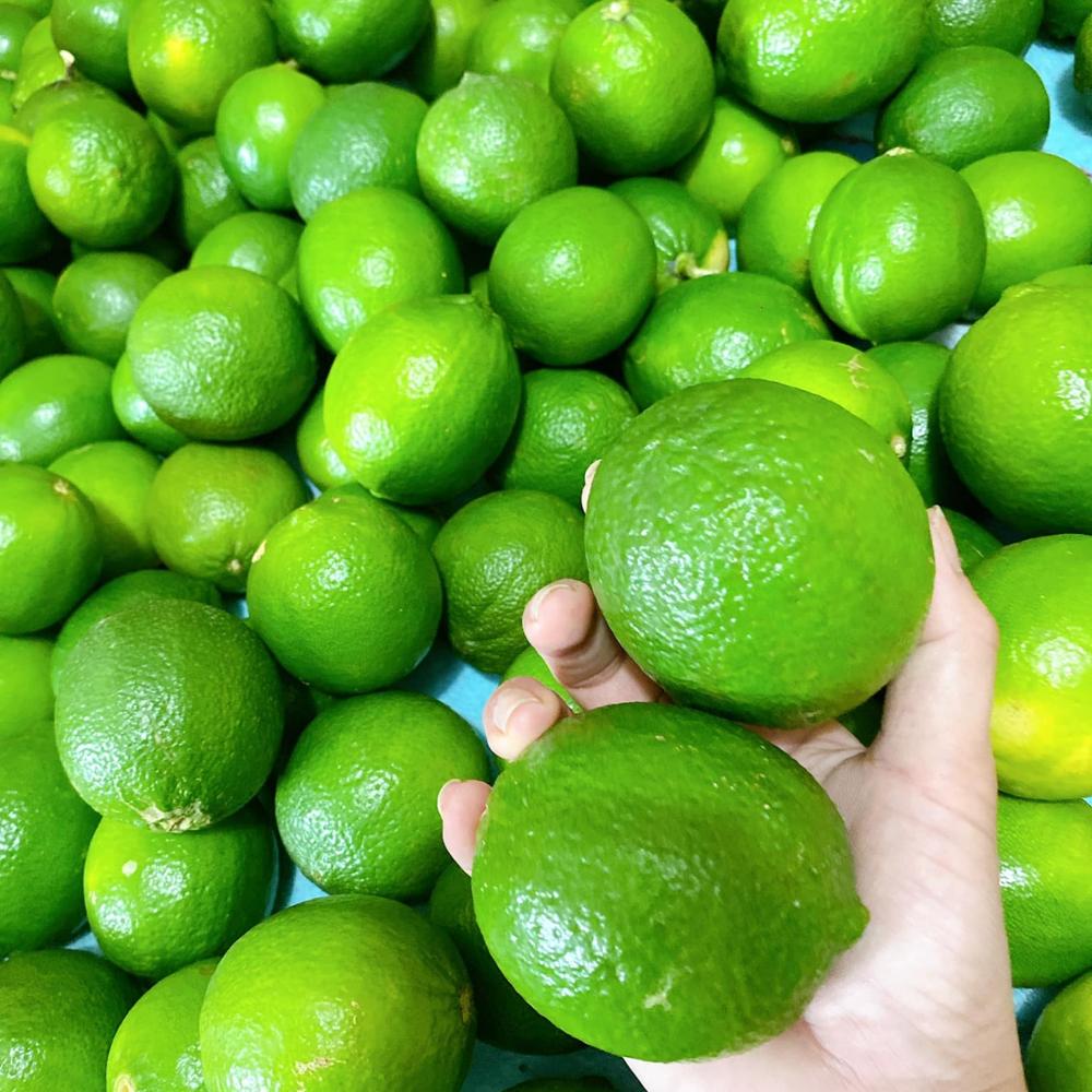 Caja de limas frescas sin semillas, color verde