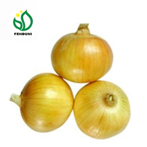Trung Quốc Xuất Khẩu Tươi Giá Vàng Hành Tây Cho Người Mua Và Nhập Khẩu Bán Buôn - Product Image 5