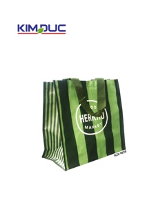 Venta al por mayor de bolsas de compras plegables ecológicas PP tejidas y no tejidas bolsas promocionales hechas en Vietnam - Product Image 3