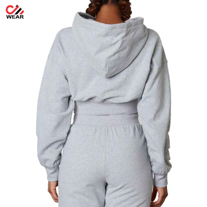 Offre Spéciale Nouveau Manches Longues Surdimensionné Dames Sweat À Capuche Court Mode Simple Sweats À Capuche de Haute qualité streetwear vêtements pour femmes - Product Image 2