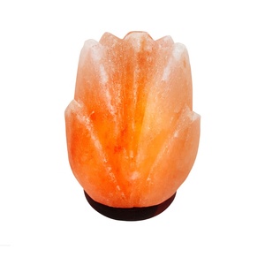 Eleve el Ambiente de Su Espacio con la Lámpara de Tulipán de Sal del Himalaya Tallada de Primera Calidad de Sian Enterprises - Product Image 4