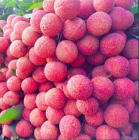 Vietnam Verse Lychee-Beste Prijs Van Het Seizoen